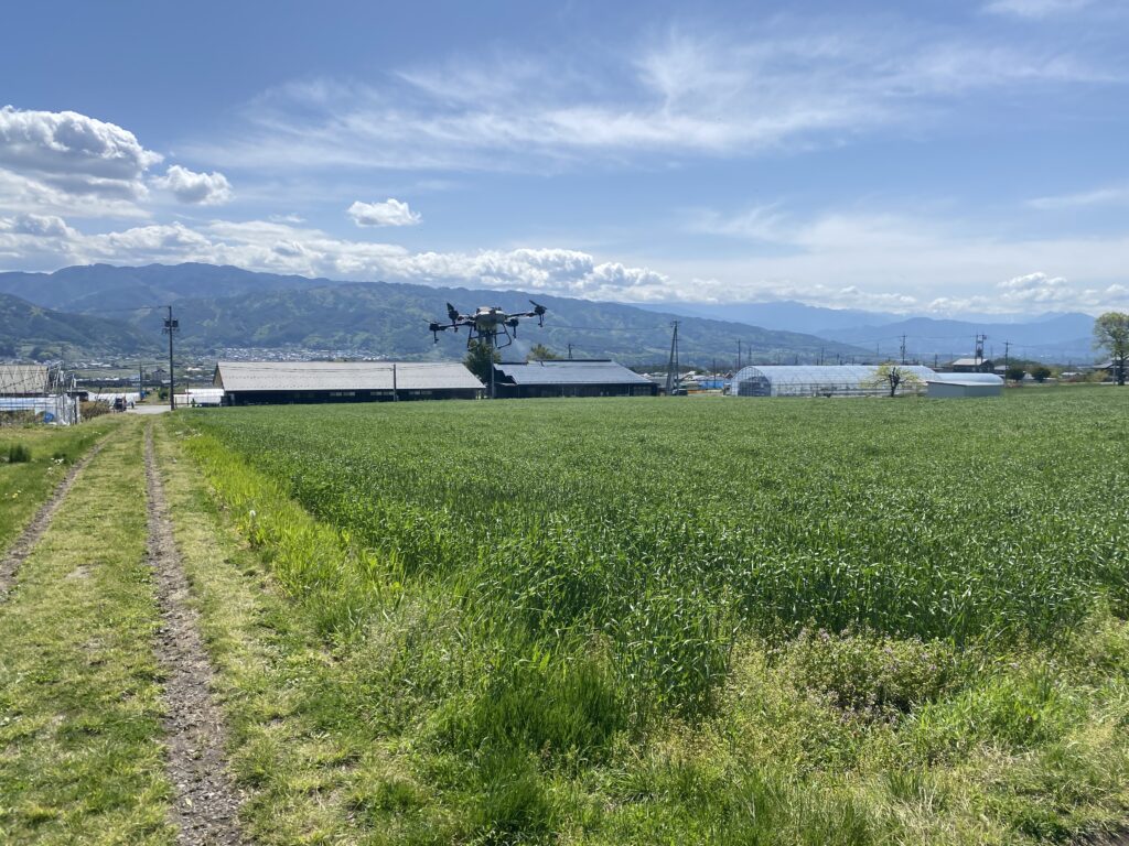 T10による防除作業